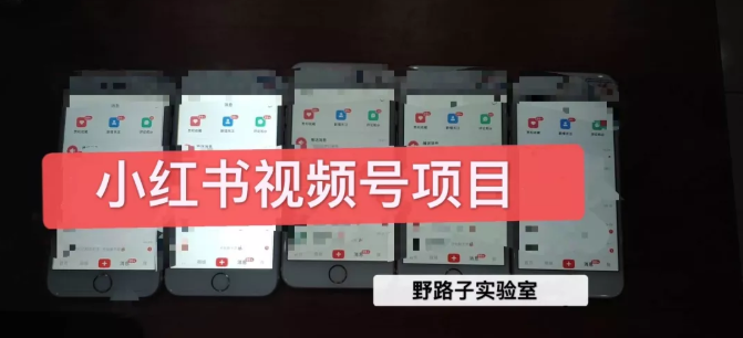 野路子小红书视频号1.0项目，直接上手操作就能赚钱的视频号项目-八爪鱼资源库