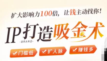 IP打造吸金术：0基础0资源，也能扩大影响力100倍，让钱主动找你！-八爪鱼资源库