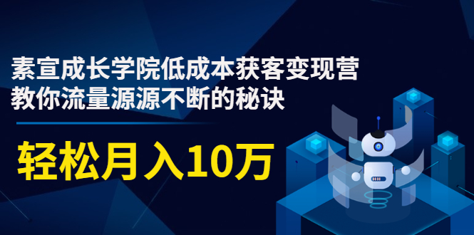 素宣成长学院低成本获客变现营，教你流量源源不断的秘诀，轻松月入10万-八爪鱼资源库