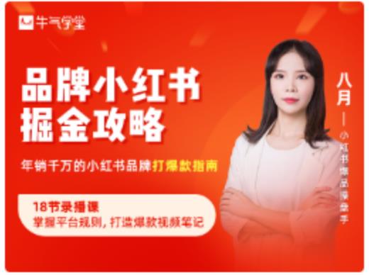 品牌小红书掘金攻略，年销千万的小红书品牌打爆款指南-八爪鱼资源库
