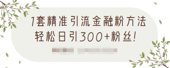 1套精准引流金融粉方法，轻松日引300+粉丝-八爪鱼资源库