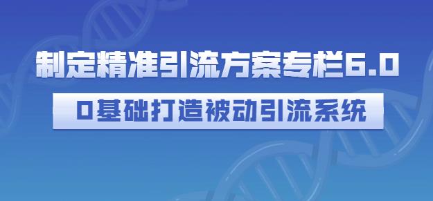 制定精准引流方案专栏6.0，0基础打造被动引流系统-八爪鱼资源库
