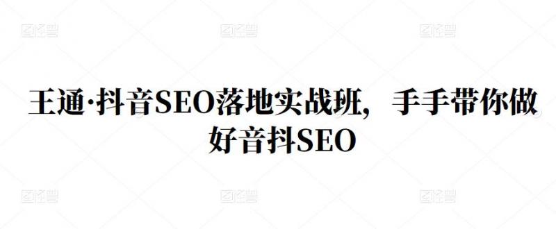 王通·抖音SEO落地实战班，手‬手带你做好音抖‬‬SEO-八爪鱼资源库