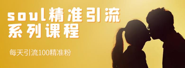 soul精准引流系列课程，每天引流100精准粉-八爪鱼资源库