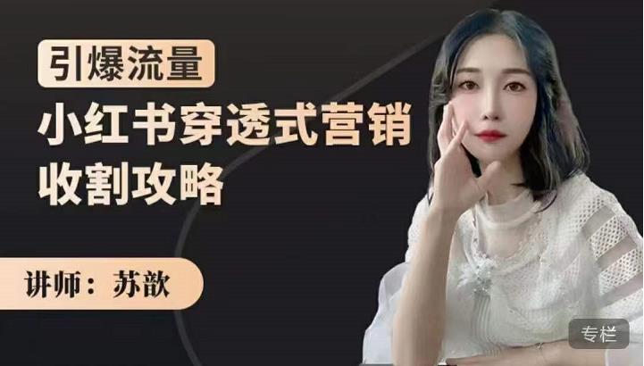 苏歆：小红书穿透式营销收割攻略，引爆流量，助你玩转小红书-八爪鱼资源库