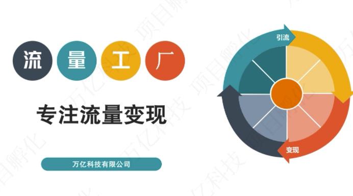 收费3980的流量工厂回粉项目，号称1个粉10元【详细玩法教程解析】-八爪鱼资源库