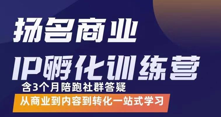 杨名商业IP孵化训练营，从商业到内容到转化一站式学 价值5980元-八爪鱼资源库