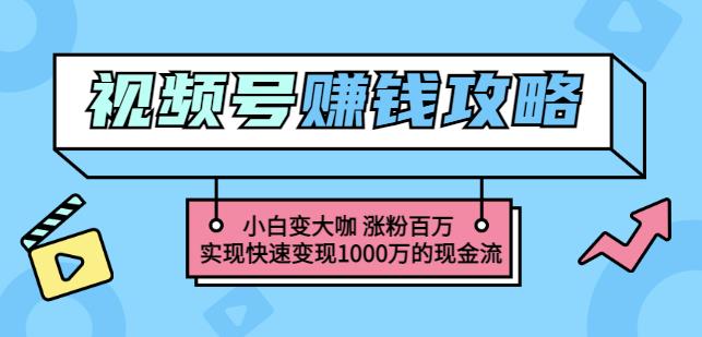玩转微信视频号赚钱：小白变大咖涨粉百万实现快速变现1000万的现金流-八爪鱼资源库