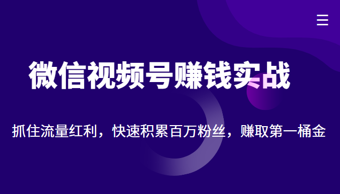 微信视频号赚钱实战:抓住流量红利,快速积累百万粉丝,赚取你的第一桶金-八爪鱼资源库