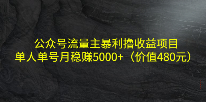 公众号流量主暴利撸收益项目,单人单号月稳赚5000+(价值480元)-八爪鱼资源库
