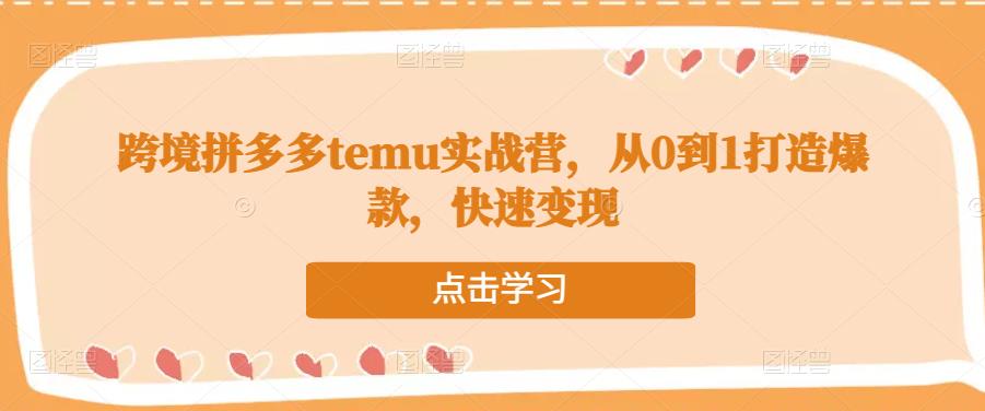 跨境拼多多temu实战营，从0到1打造爆款，快速变现-八爪鱼资源库