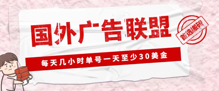 外面收费1980的最新国外LEAD广告联盟搬砖项目，单号一天至少30美金【详细玩法教程】-八爪鱼资源库