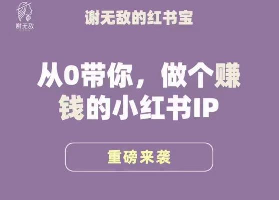 谢无敌·小红书运营大宝典，从0带你做个赚钱的小红书IP-八爪鱼资源库