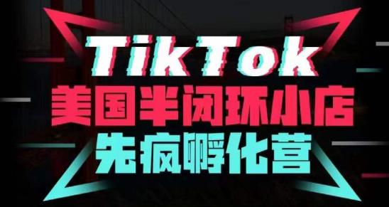 疯人院·TikTok美国半闭环小店孵化营，抢占TikTok美国蓝海市场，开店、运营、带货、投流全实操-八爪鱼资源库