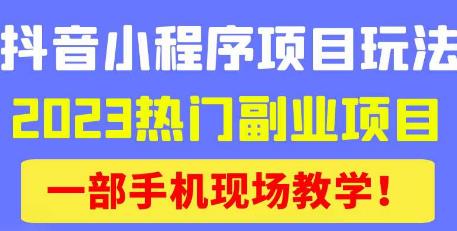 抖音小程序9.0新技巧，2023热门副业项目，动动手指轻松变现-八爪鱼资源库