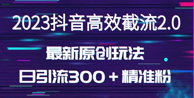 日引300＋创业粉，独家抖音高效截流2.0玩法（价值1280）-八爪鱼资源库