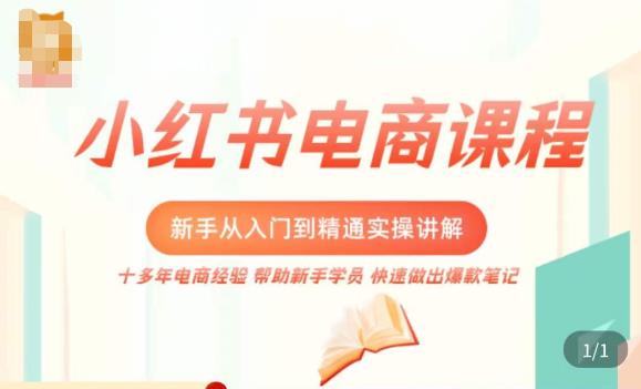 小红书电商新手入门到精通实操课，从入门到精通做爆款笔记，开店运营-八爪鱼资源库