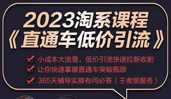 2023直通车低价引流玩法课程，小成本大流量，低价引流快速拉新收割，让你快速掌握直通车突破瓶颈-八爪鱼资源库