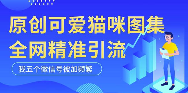 黑科技纯原创可爱猫咪图片，全网精准引流，实操5个VX号被加频繁-八爪鱼资源库
