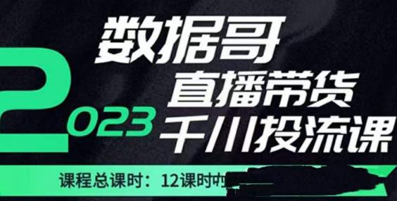 数据哥2023直播电商巨量千川付费投流实操课，快速掌握直播带货运营投放策略-八爪鱼资源库