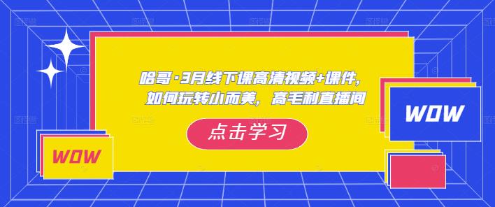 哈哥·3月线下实操课高清视频+课件，如何玩转小而美，高毛利直播间-八爪鱼资源库