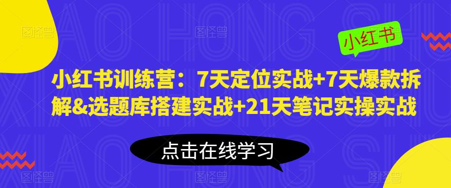 小红书训练营：7天定位实战+7天爆款拆解&选题库搭建实战+21天笔记实操实战-八爪鱼资源库