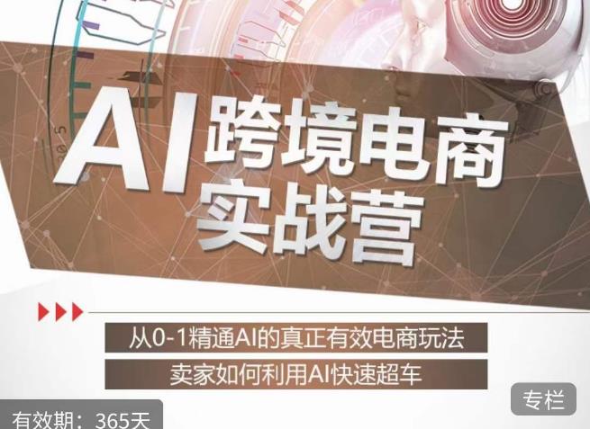 白龙老师·AI跨境电商实战营：从0-1精通Al的真正有效电商玩法，卖家如何利用Al快速超车-八爪鱼资源库