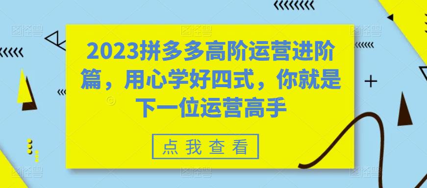 2023拼多多高阶运营进阶篇，用心学好四式，你就是下一位运营高手-八爪鱼资源库