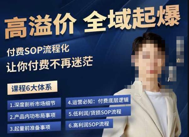 逸风-拼多多高溢价全域起爆，6大课程体系，付费玩法全套实操-八爪鱼资源库