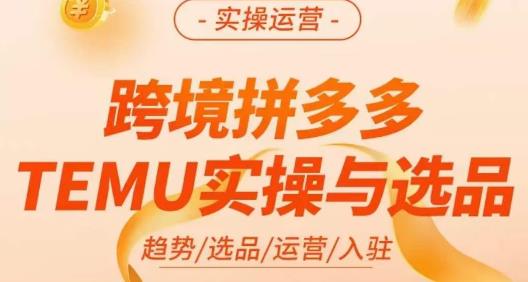 伍跃·跨境拼多多TEMU实操与选品，​趋势/选品/运营/入住（27节完整）-八爪鱼资源库
