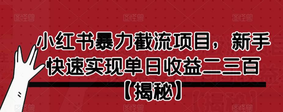 小红书暴力截流项目，新手快速实现单日收益二三百【仅揭秘】-八爪鱼资源库