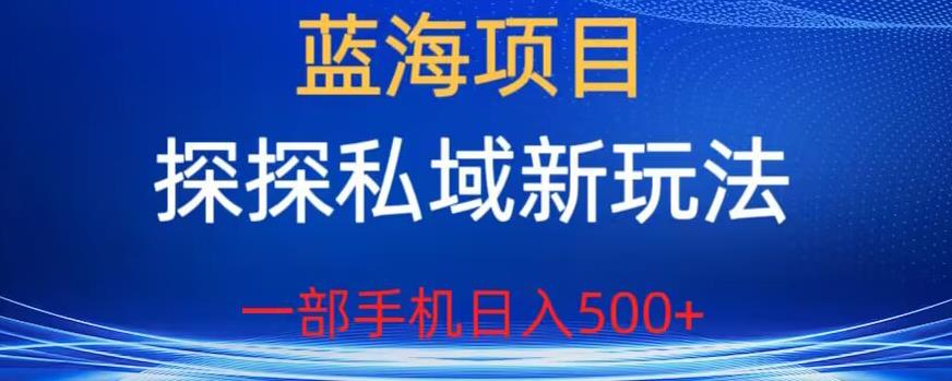 蓝海项目，探探私域新玩法，一部手机日入500+很轻松【揭秘】-八爪鱼资源库