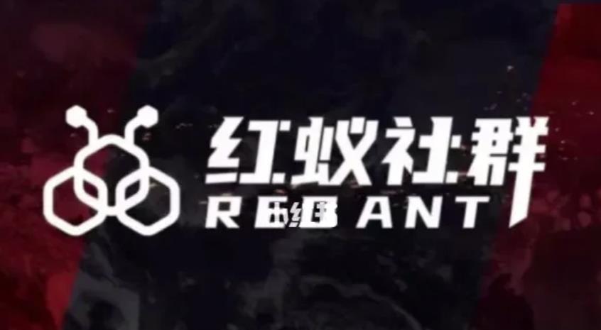 社群运营：红蚁社群【48节落地系统课程+2000人高端社群】-八爪鱼资源库