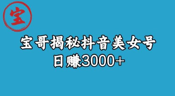 宝哥揭秘抖音美女号玩法，日赚3000+【揭秘】-八爪鱼资源库