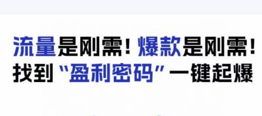 电商盈利精品课：6大盈利密码让产品更好卖，流量是刚需！爆款是刚需！找到”盈利密码”一键起爆-八爪鱼资源库