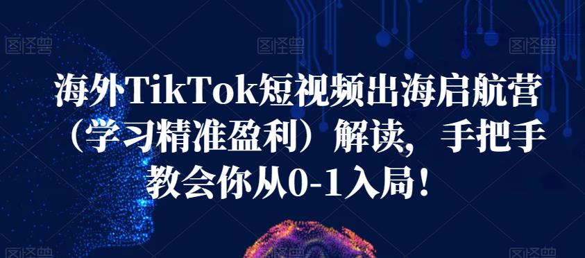 海外TikTok短视频出海启航营（学习精准盈利）解读，手把手教会你从0-1入局！-八爪鱼资源库