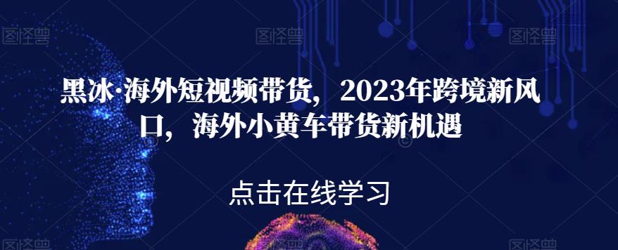 黑冰·海外短视频带货，2023年跨境新风口，海外小黄车带货新机遇-八爪鱼资源库