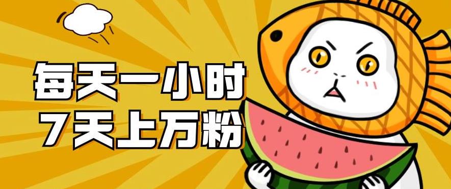 暴力涨粉项目：每天一小时，七天上万粉【揭秘】-八爪鱼资源库