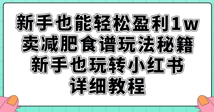 新手也能轻松盈利1w，卖减肥食谱玩法秘籍，新手也玩转小红书详细教程【揭秘】-八爪鱼资源库