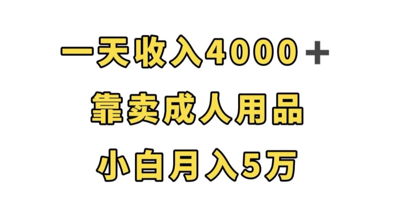 一天收入4000+，靠卖成人用品，小白轻松月入5万【揭秘】-八爪鱼资源库