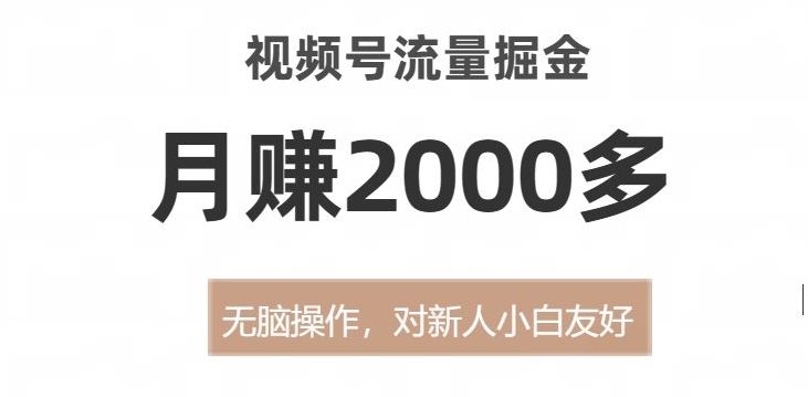 视频号流量掘金，无脑操作，对新人小白友好，月赚2000多【揭秘】-八爪鱼资源库