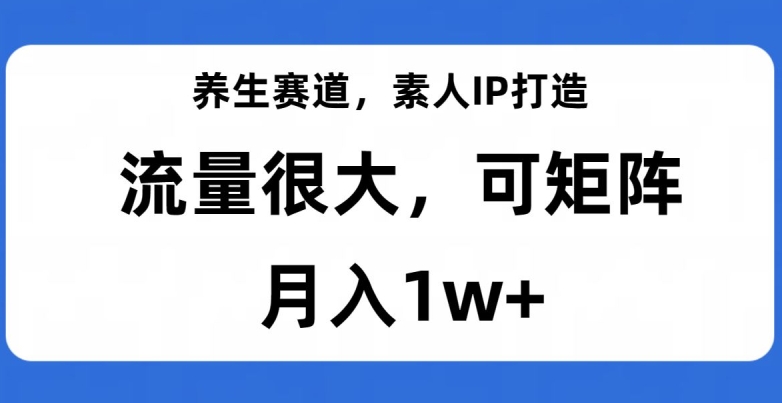 养生赛道，素人IP打造，流量很大，可矩阵，月入1w+【揭秘】-八爪鱼资源库