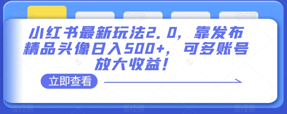 小红书最新玩法2.0，靠发布精品头像日入500+，可多账号放大收益！【揭秘】-八爪鱼资源库