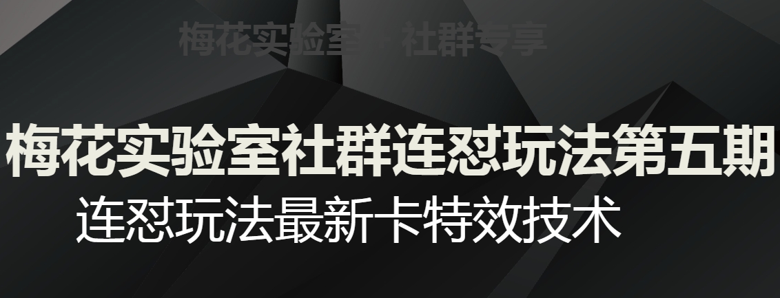 梅花实验室社群连怼玩法第五期，视频号连怼玩法最新卡特效技术-八爪鱼资源库