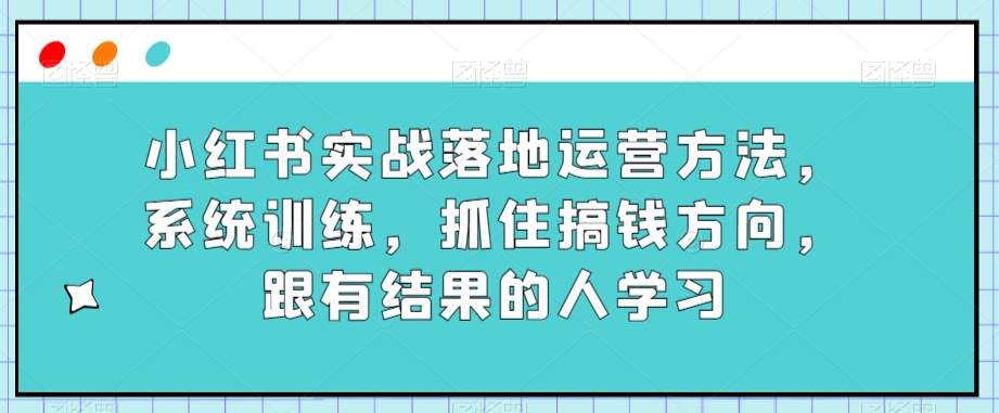 小红书实战落地运营方法，系统训练，抓住搞钱方向，跟有结果的人学习-八爪鱼资源库