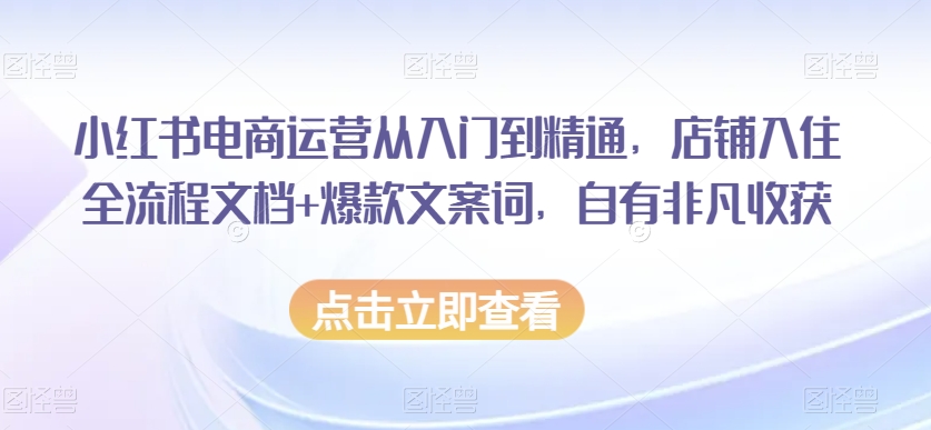 小红书电商运营从入门到精通，店铺入住全流程文档+爆款文案词，自有非凡收获-八爪鱼资源库