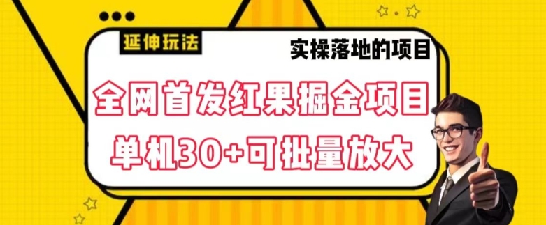 全网首发红果免费短剧掘金项目，单机30+可批量放大【揭秘】-八爪鱼资源库