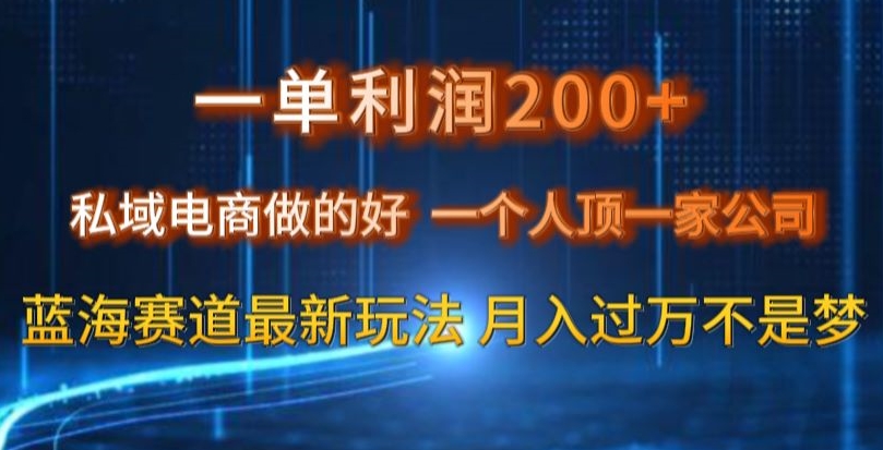 一单利润200私域电商做的好，一个人顶一家公司蓝海赛道最新玩法【揭秘】-八爪鱼资源库