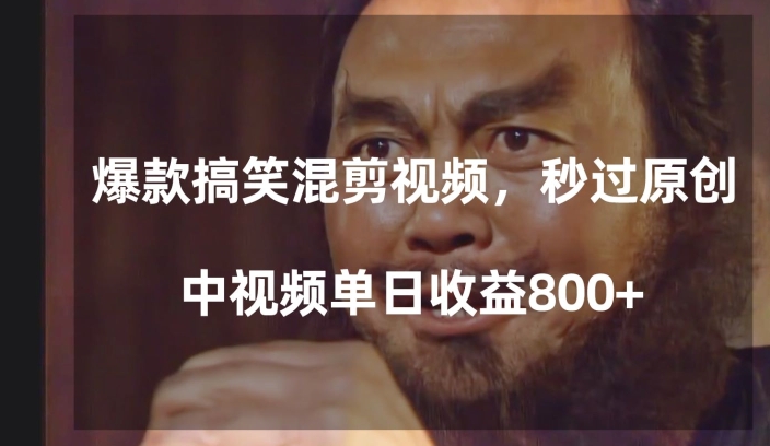 爆款搞笑混剪视频，百分百过原创，单日中视频播放收益800+【揭秘】-八爪鱼资源库
