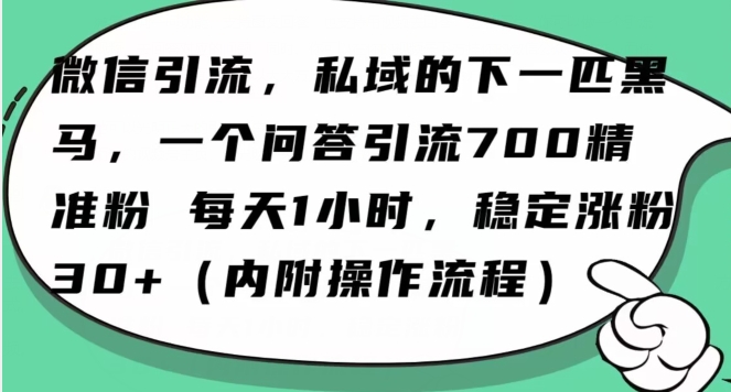 怎么搞精准创业粉?微信新赛道,每天一小时,利用Ai一个问答日引100精准粉-八爪鱼资源库